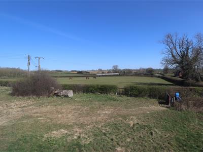 Picture 18